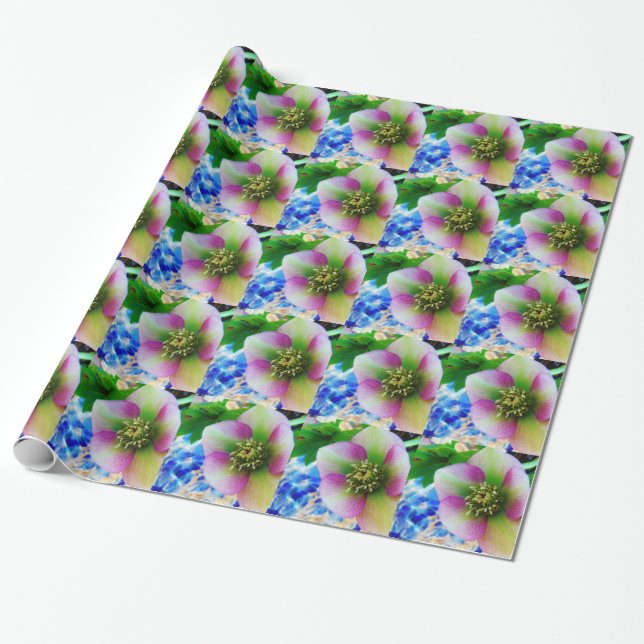 Papel De Regalo Rosa rosa de Cuaresma bola de vidrio azul (Desenrollado)