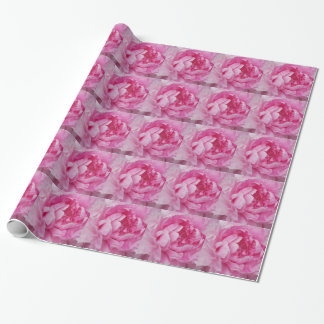 Papel de regalo rosado de los Peonies