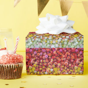 Papel De Regalo Rosas Coloridas y Crisantemos Gradiente Floral