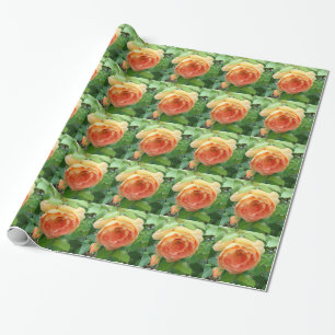 Papel De Regalo Rosas Naranjas elegantes