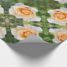 Papel De Regalo Rosas Naranjas Románticas Florales