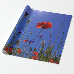 Papel De Regalo rosas rojos y morados abrazando un cielo y sol azu