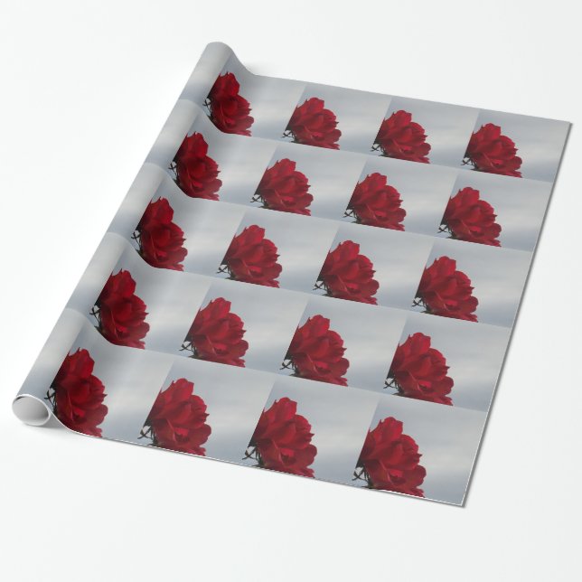 Papel De Regalo Roses rojos contra un brillante cielo azul (Desenrollado)
