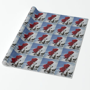 Papel De Regalo Roses rojos contra un brillante cielo azul