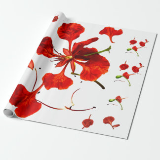 Papel de Regalo Royal Poinciana