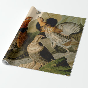 Papel De Regalo Ruffed Grouse Audubon Game Bird