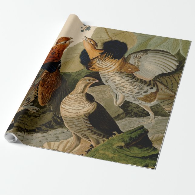 Papel De Regalo Ruffed Grouse Audubon Game Bird (Desenrollado)