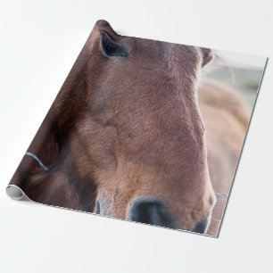 PAPEL DE REGALO SAD HORSE
