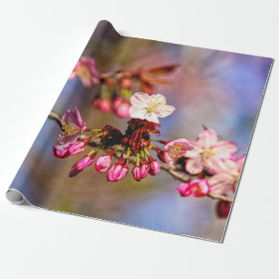 Papel De Regalo Sakura Florece Y Púrpura En Un Día Soleado