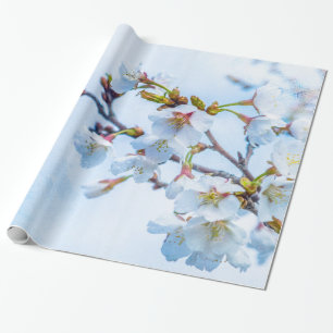 Papel De Regalo Sakura - Florecimiento de cerezo japonés