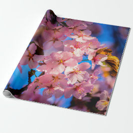 Papel De Regalo Sakura Garland rosa fresco, cielo azul