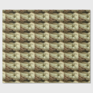 Papel De Regalo Sand goanna
