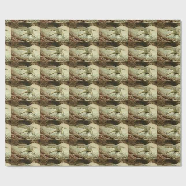 Papel De Regalo Sand goanna (Superficie plana)