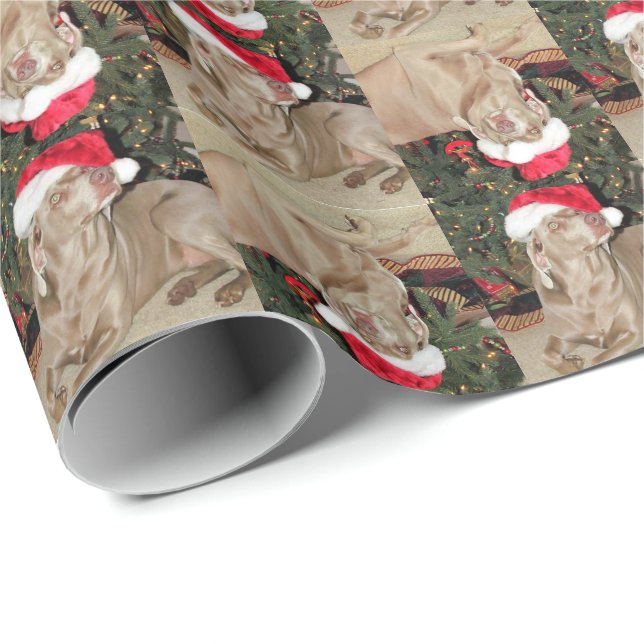 Papel De Regalo Santa Paws - Estilo Weimaraner - (4SQ) - 3 Poses (Esquina del rollo)