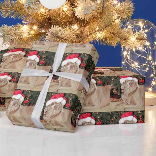 Papel De Regalo Santa Paws - Navidades de Perro de Weimaraner (Vacaciones)