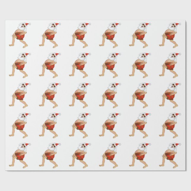 Papel De Regalo Santa que se divierte en troncos de natación (Superficie plana)