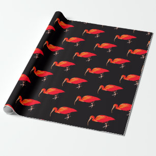 Papel De Regalo Scarlet Ibis
