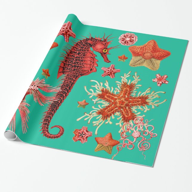 PAPEL DE REGALO SEAHORRO ROJO Y MAESTRAS EN LA VIDA AQUÍ AZUL (Desenrollado)