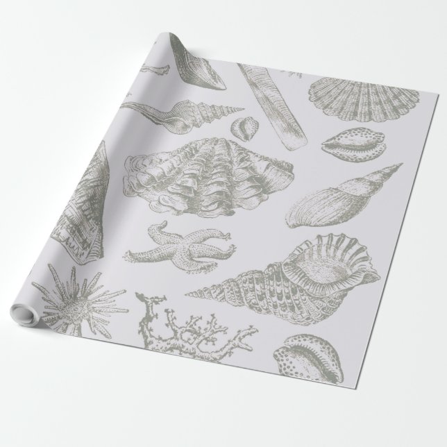 Papel De Regalo Seashell Soft Antique Art Beach Shells (Desenrollado)