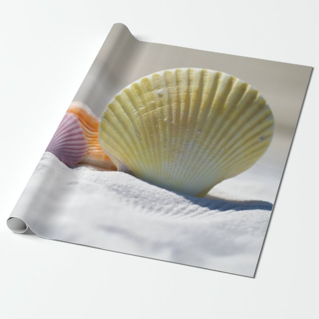 Papel De Regalo Seashells en la arena blanca (Desenrollado)
