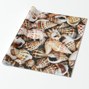 Papel De Regalo Seashells minúsculos
