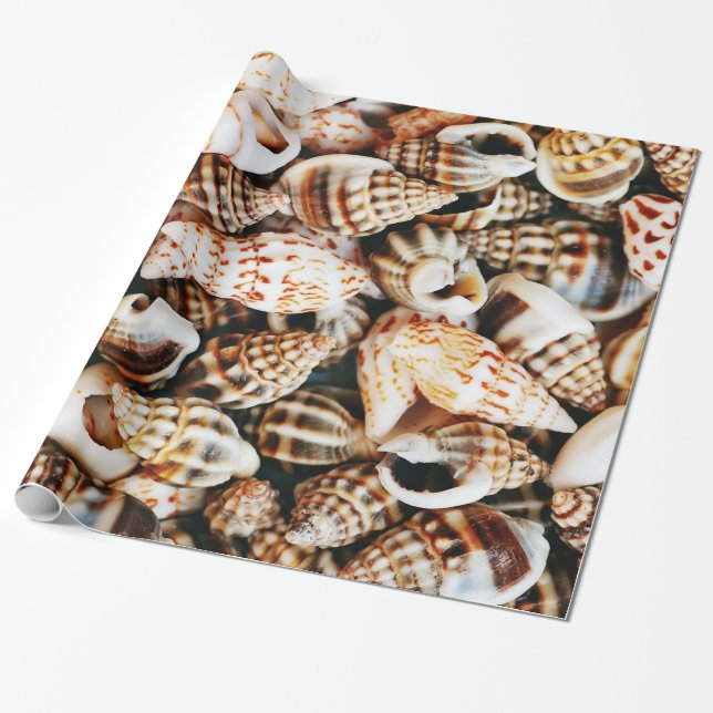 Papel De Regalo Seashells minúsculos (Desenrollado)