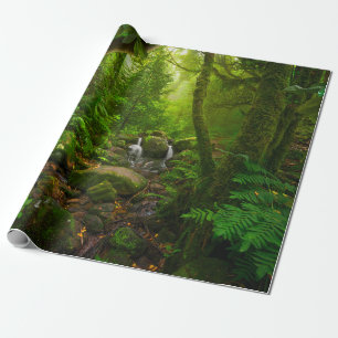 Papel De Regalo Selva tropical asiática, bosque, medio ambiente
