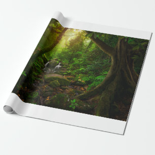 Papel De Regalo Selva tropical asiática, tierra, amazonas, asia