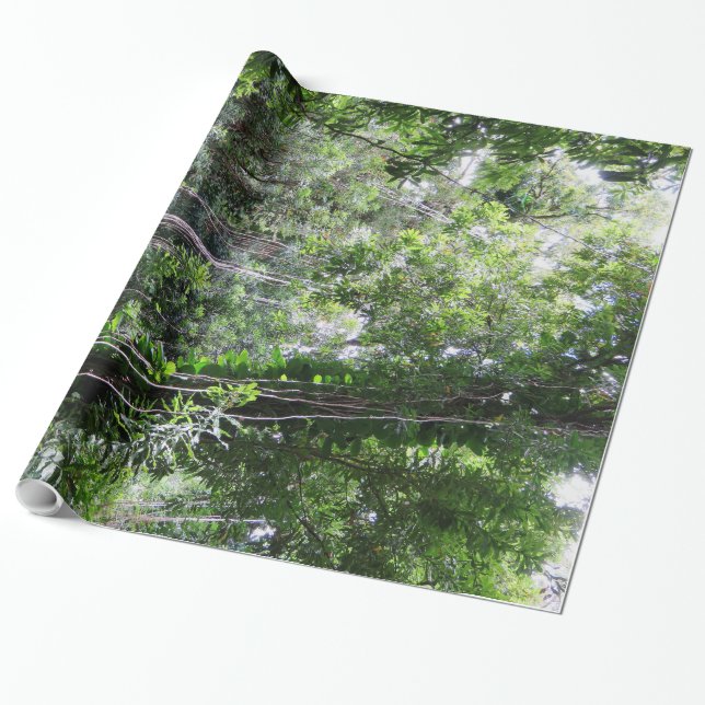 Papel De Regalo Selva tropical hawaiana (Desenrollado)