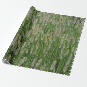 Papel De Regalo Semillas de gramíneas verdes altas