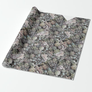 Papel De Regalo Sempervivums suculento - grande y silenciado