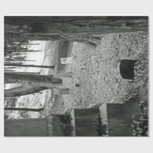 Papel De Regalo Sepulcro olvidado