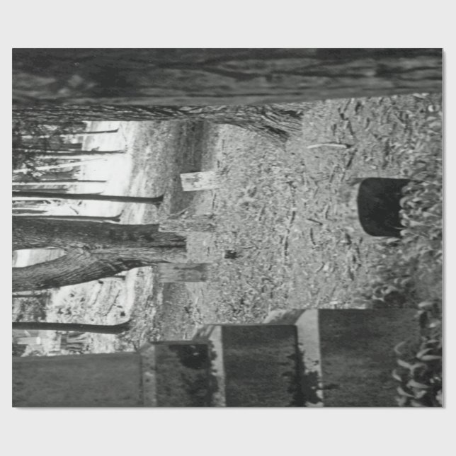 Papel De Regalo Sepulcro olvidado (Superficie plana)