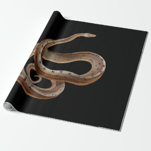 Papel De Regalo Serpiente - Negro - Animal