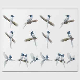 Papel De Regalo Set de pájaros asiáticos de paradise flycatcher de