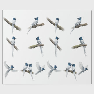 Papel De Regalo Set de pájaros asiáticos de paradise flycatcher de