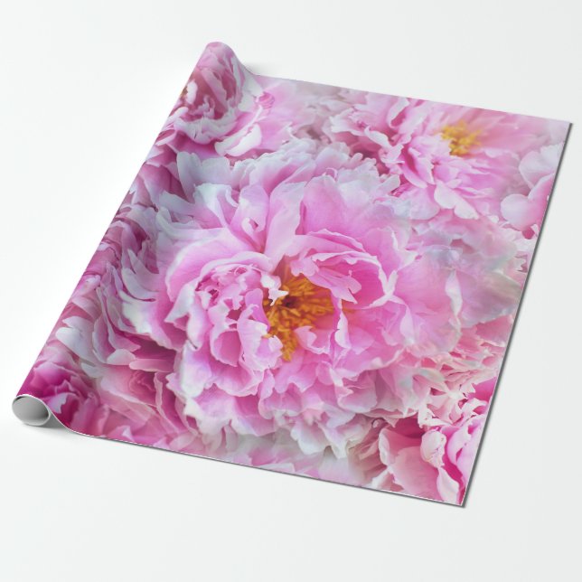 Papel De Regalo Shabby Chic Pink Pastel Pink Peonies (Desenrollado)