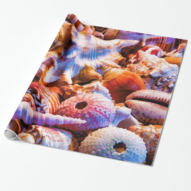 Papel De Regalo Shells 1 Alt (Desenrollado)