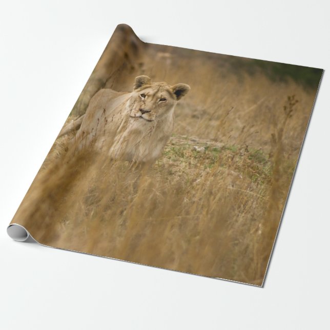 PAPEL DE REGALO SIN LONES EN LA GRASA (Desenrollado)