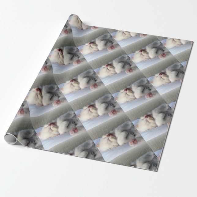 Papel De Regalo Sleepy Kitten (Desenrollado)