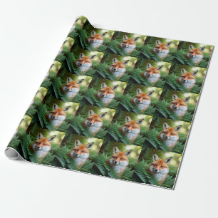 Papel De Regalo "Sly: El Zorro en las sombras"