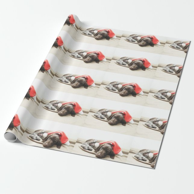 Papel De Regalo Soñando con Santa - Papúa de Shorthair alemana (Desenrollado)