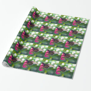 Papel De Regalo Spicebush Swallowtail