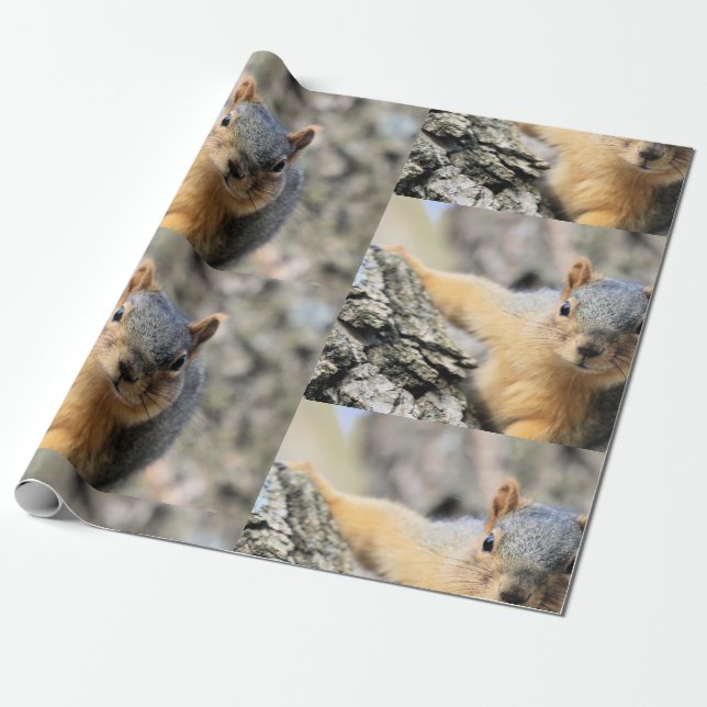 Papel De Regalo Sr. Cutie (Desenrollado)