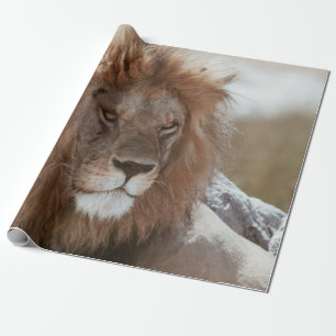 PAPEL DE REGALO SR. LION