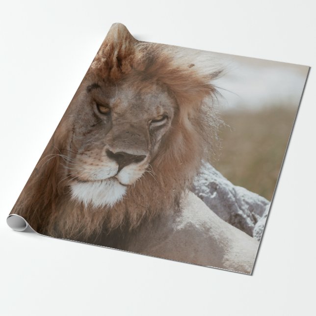 PAPEL DE REGALO SR. LION (Desenrollado)