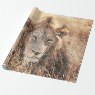 PAPEL DE REGALO SR. LION KING
