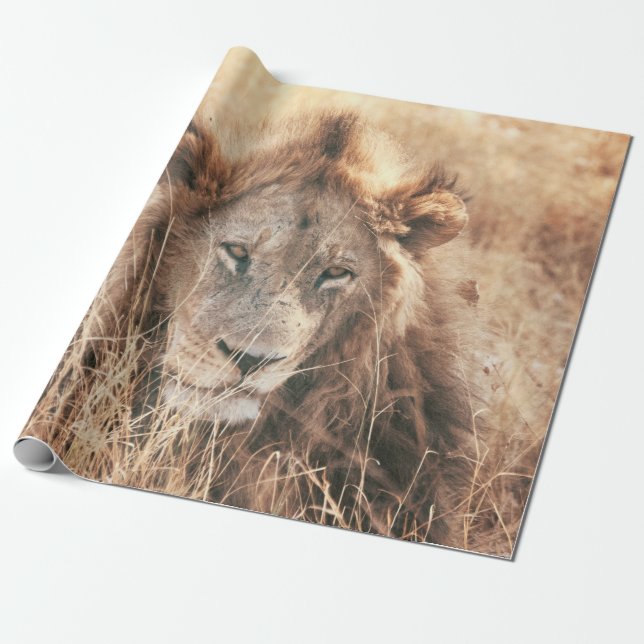 PAPEL DE REGALO SR. LION KING (Desenrollado)