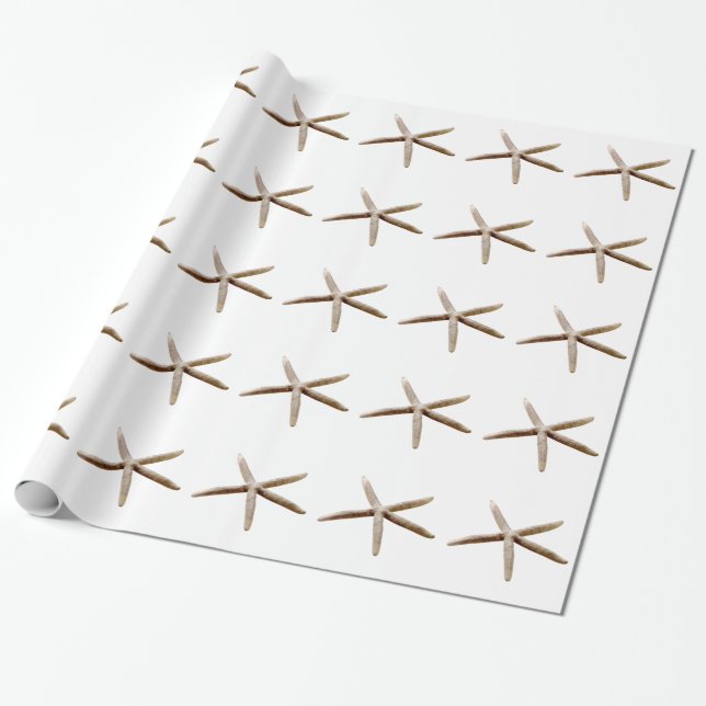 Papel De Regalo Starfish (Desenrollado)