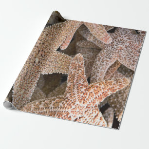 Papel De Regalo Starfish por todas partes